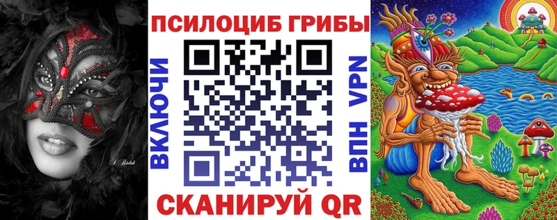 darknet клад  Верхний Уфалей  Псилоцибиновые грибы Psilocybine cubensis 