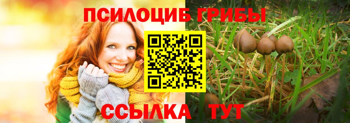 Псилоцибиновые грибы GOLDEN TEACHER Верхний Уфалей